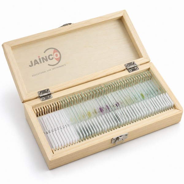 Microscope Prepared Slide Set